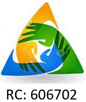 Teamwork FMSL Logo